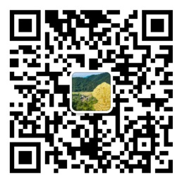 乐发IV彩票手机购彩大厅